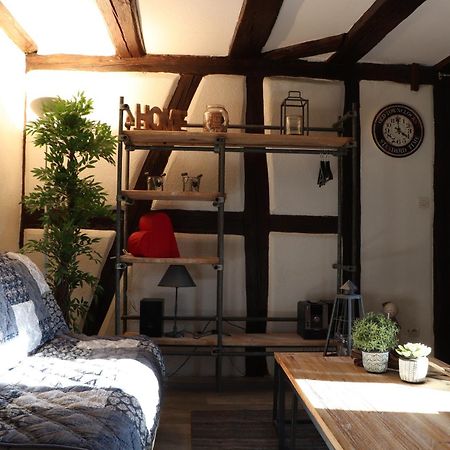 Appartamento Sous les toits du Zinc - Climatisé Colmar Esterno foto