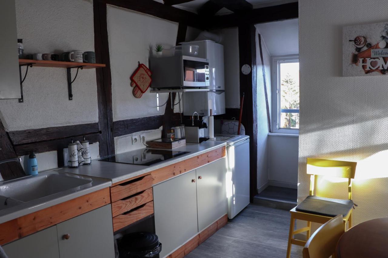 Appartamento Sous les toits du Zinc - Climatisé Colmar Esterno foto