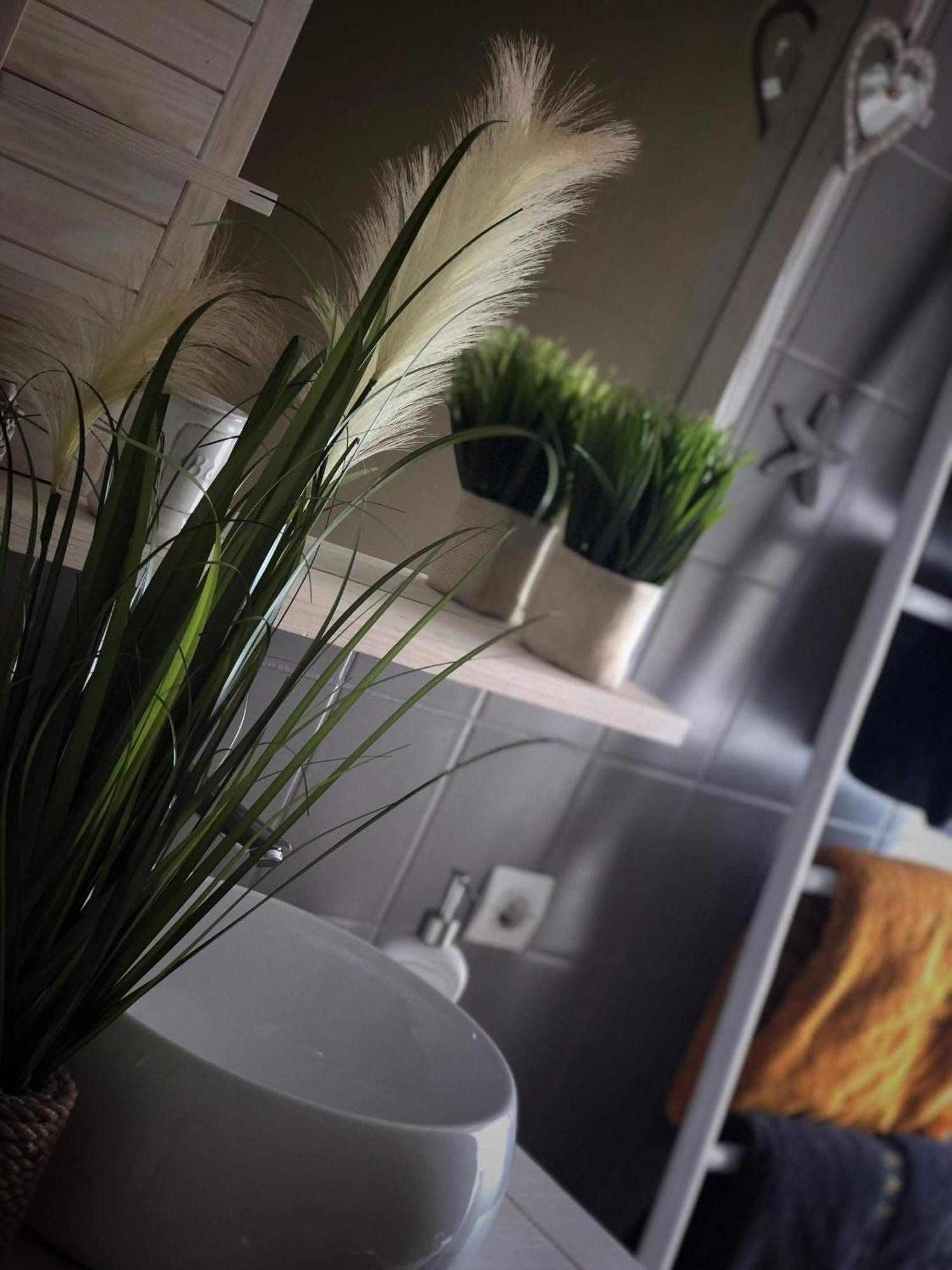 Appartamento Sous les toits du Zinc - Climatisé Colmar Esterno foto