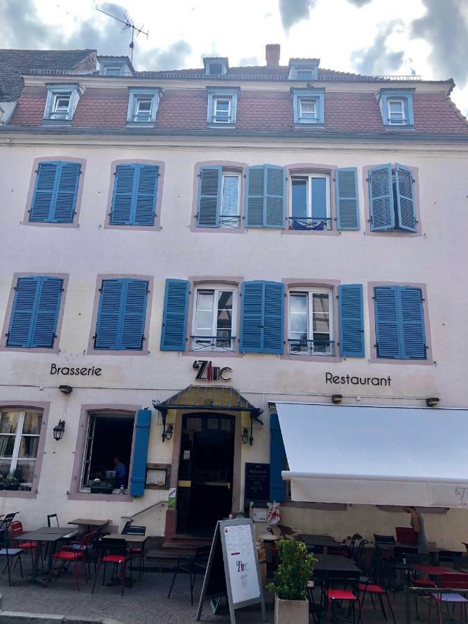 Appartamento Sous les toits du Zinc - Climatisé Colmar Esterno foto